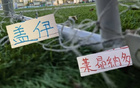 上海双雄外援假期！申花盖伊 米内罗一直都在练